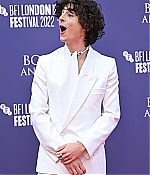 TCF-182.jpg