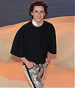 TCF-142.jpg