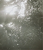 TCF-OT001.jpg