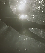 TCF-OT004.jpg