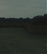 TCF-OT007.jpg