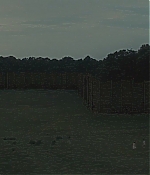 TCF-OT008.jpg