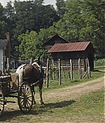TCF-OT034.jpg