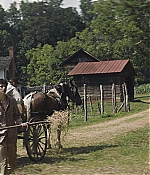 TCF-OT037.jpg