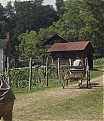 TCF-OT044.jpg
