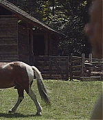TCF-OT087.jpg