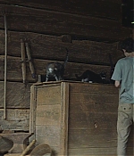 TCF-OT290.jpg