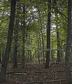 TCF-OT798.jpg