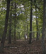 TCF-OT813.jpg