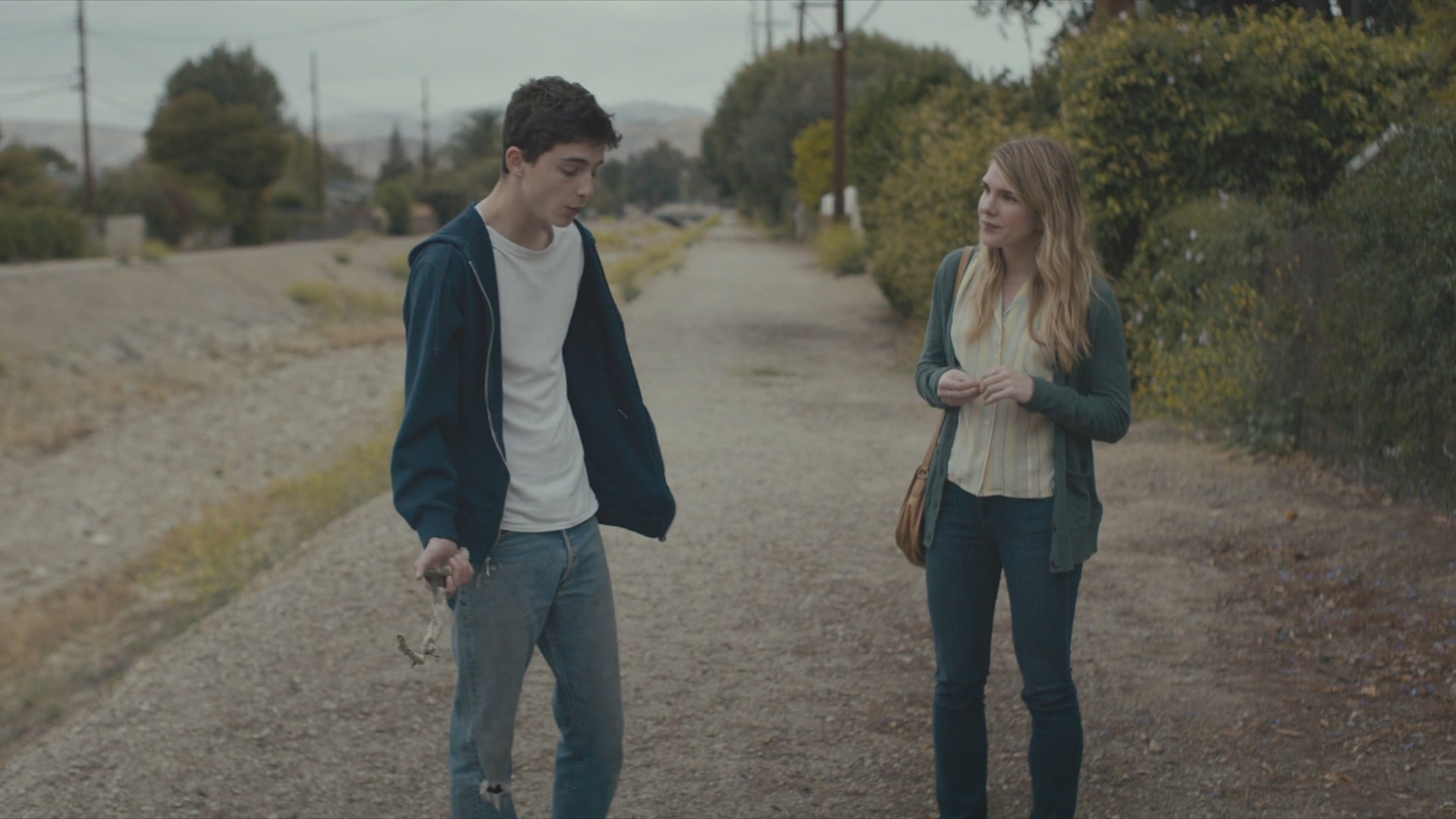 TCF-MS280.jpg