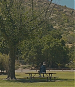 TCF-MS791.jpg