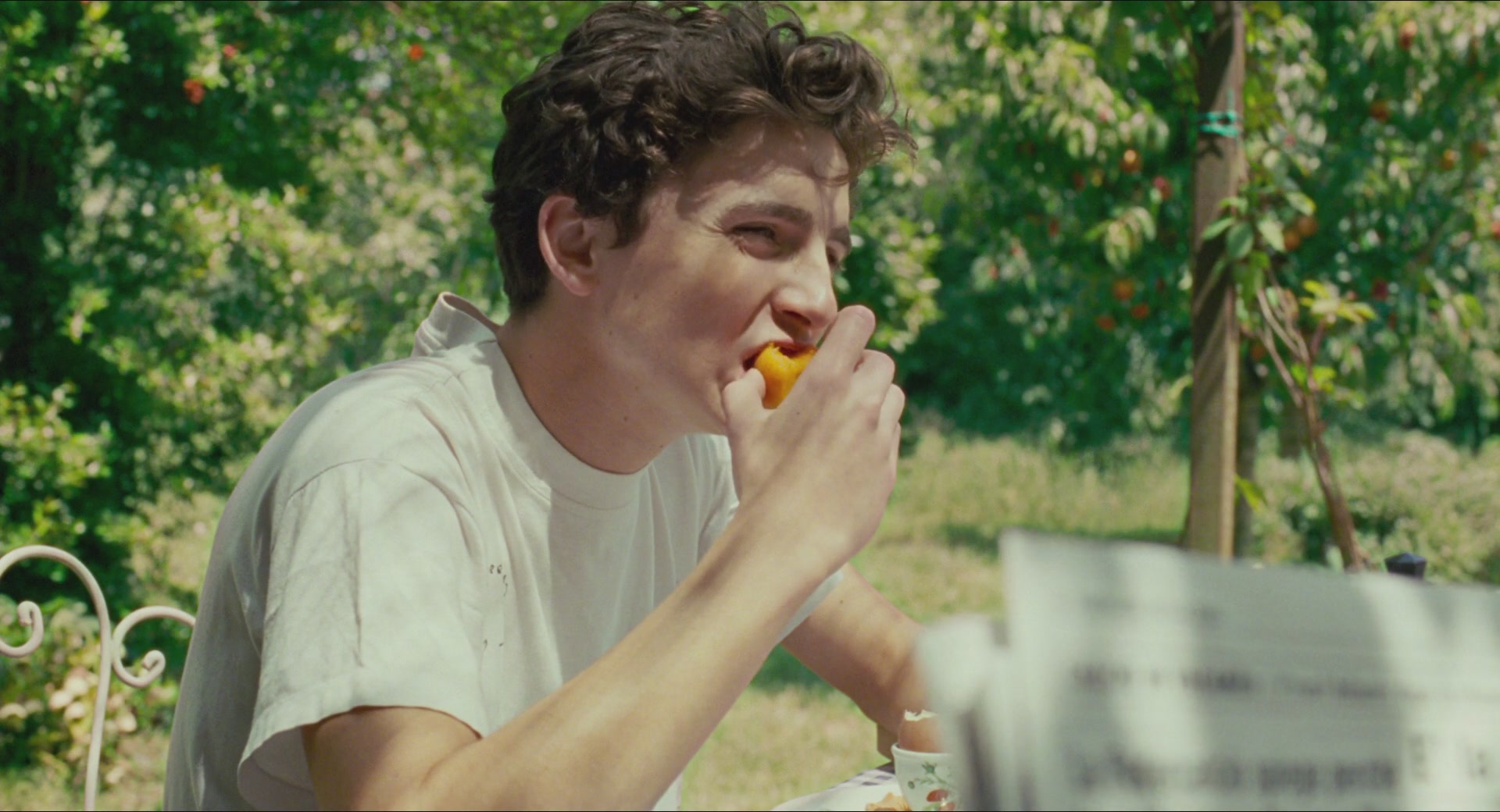 TCF-CMBYN0108.jpg
