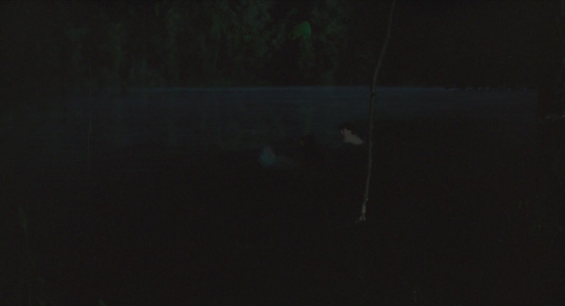 TCF-CMBYN0578.jpg