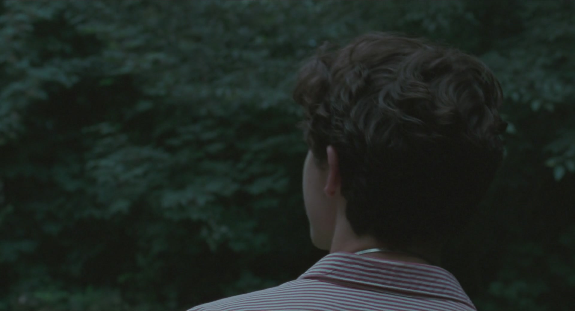 TCF-CMBYN1135.jpg
