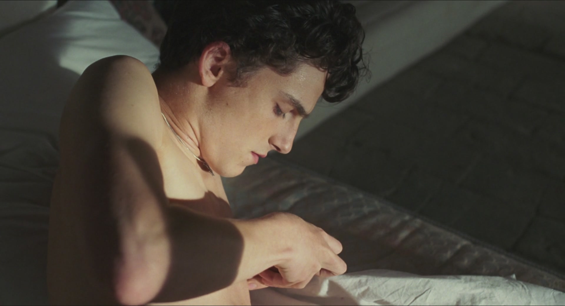 TCF-CMBYN1616.jpg