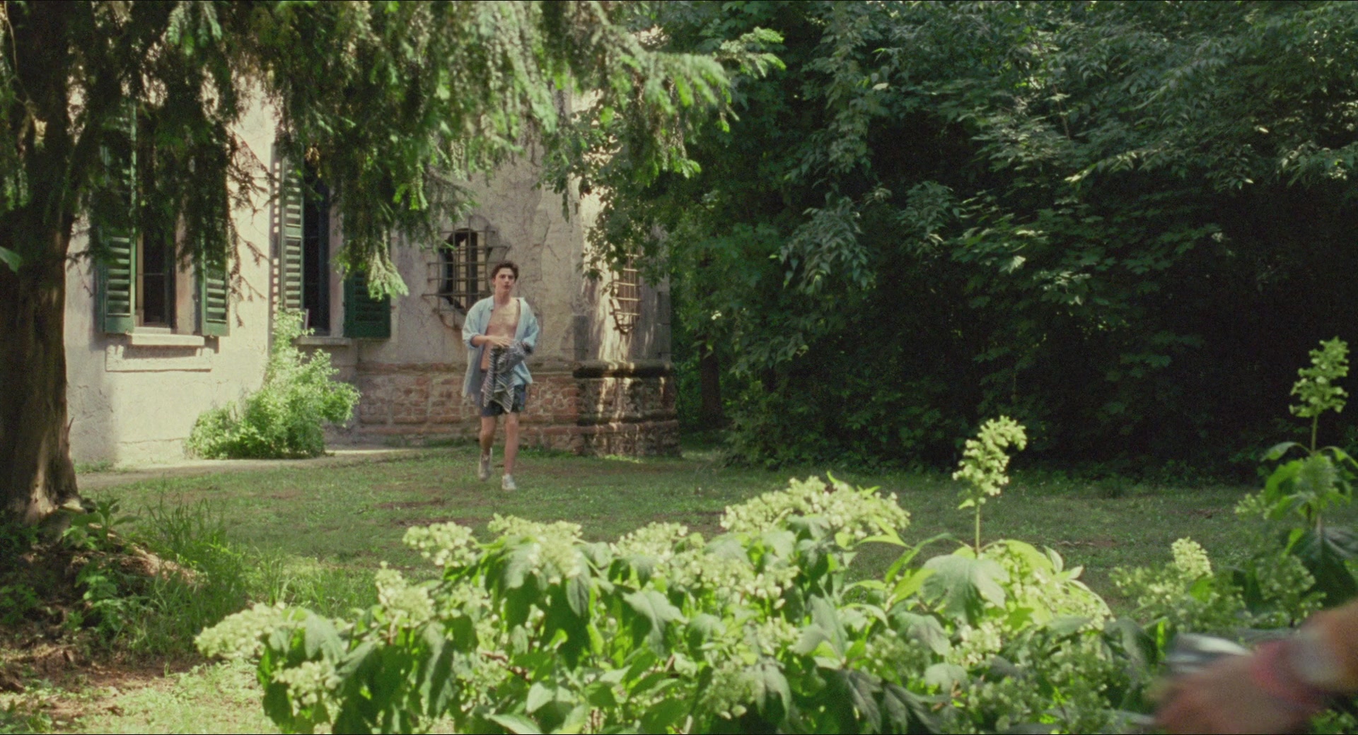 TCF-CMBYN1753.jpg TCF-CMBYN1753.jpg