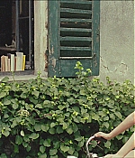 TCF-CMBYN0598.jpg