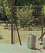 TCF-CMBYN0806.jpg