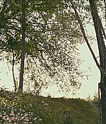 TCF-CMBYN0935.jpg