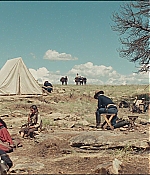 TCF-H049.jpg