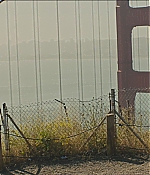 TCF-BB0772.jpg