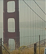 TCF-BB0774.jpg