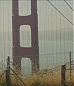 TCF-BB0776.jpg