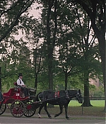 TCF-RD825.jpg