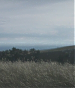 TCF-D068.jpg