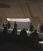 TCF-D262.jpg