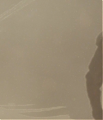 TCF-D377.jpg