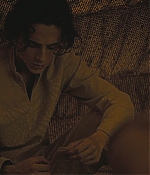 TCF-D429.jpg