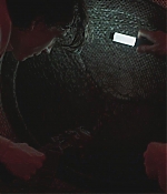 TCF-D478.jpg