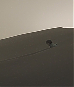 TCF-D480.jpg