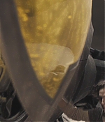 TCF-D542.jpg
