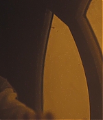 TCF-D554.jpg