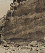 TCF-D571.jpg