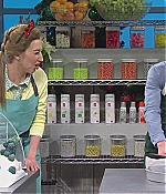 TCF-SNL329.jpg